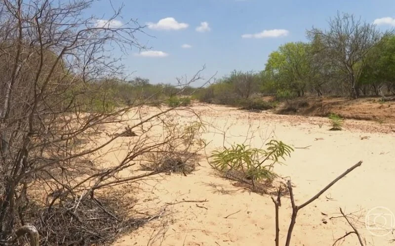 Estiagem castiga Sertão da PB: Sossêgo e Nazarezinho entram em situação de emergência