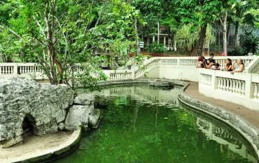 Parque-da-Bica-Foto-Divulgação-Rafael-Passos